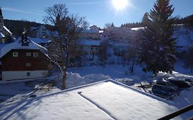 Apartment 358 Mit Sauna, Schwimmbad Und Fitness